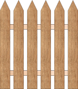 platove-laty-spicate